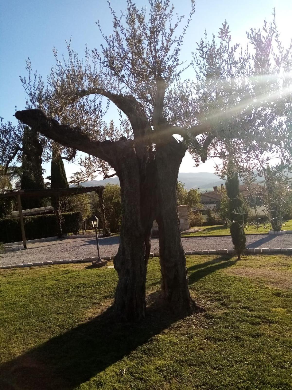 Podere Battegone Villa Maestrello Bagian luar foto